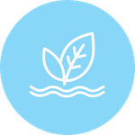 Adaptogen &amp; Stress Support