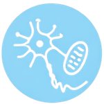 Cellular Activation: Neural and Musculoskeletal