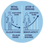 The Body Adapts to the Selected Stimulation