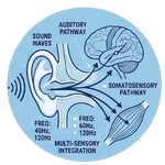 Sound Frequencies Create a Multi-Sensory Experience