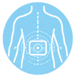 Focused on Specific Body Regions